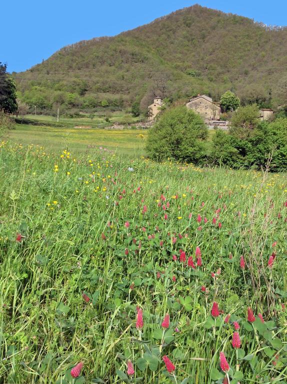 Pieve Di Ca Maggiore Firenzuola Dış mekan fotoğraf